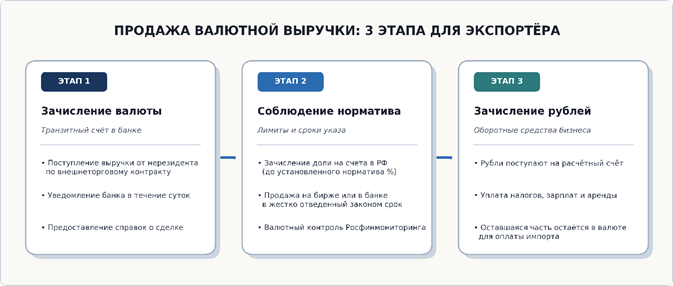 Продажа валютной выручки: 3 этапа для экспортёра